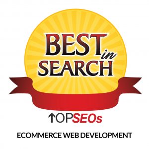 Best in Ecommerce Web Development